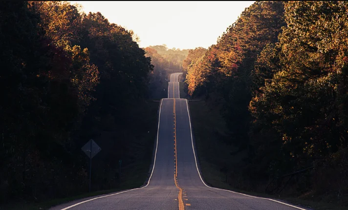 Financial Roadmap Planning for Businesses